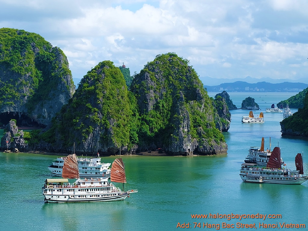 halong bay cruise one night